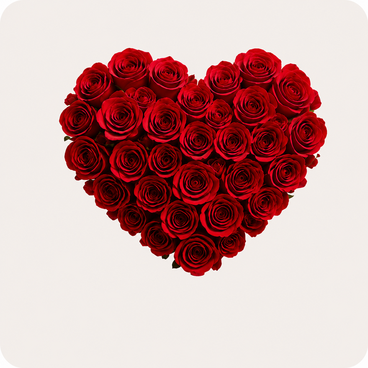 Love & Romance